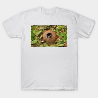 Little mouse in a coconut shell house by the Brambles T-Shirt